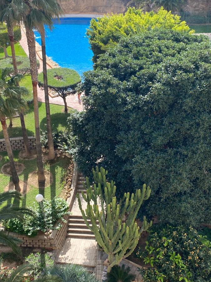 Stylish Getaway - Renovated 1br With Pool & Tennis Apartment *